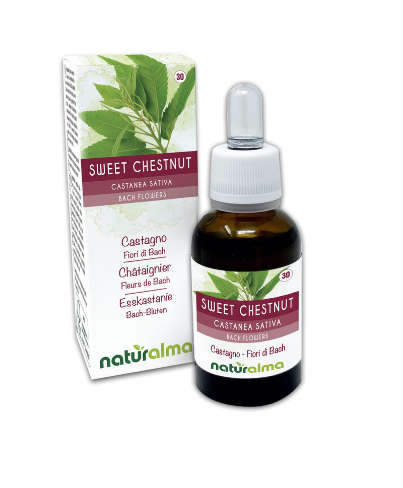 [Australia] - Sweet Chestnut (Castanea Sativa) Naturalma Bach Flowers | No. 30 | Drops 30 ml | Alcohol-Free Liquid Extract | Flower essences | Vegan and Without Alcohol 
