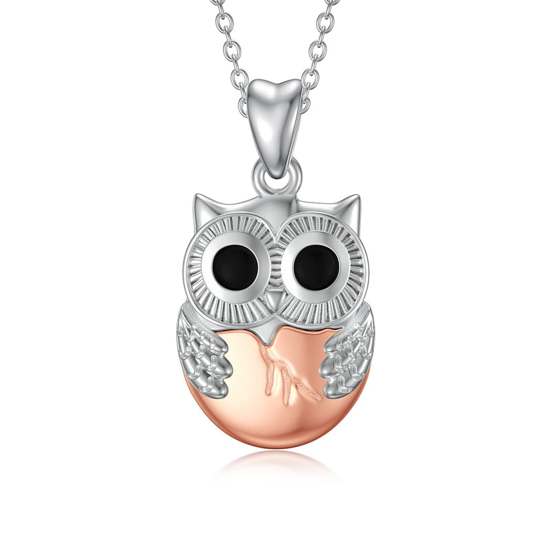 [Australia] - URONE Owl Necklace for Women Sterling Silver Animal Bird Pendant Owl Pendant Jewellery Gifts for New Birth Mom 