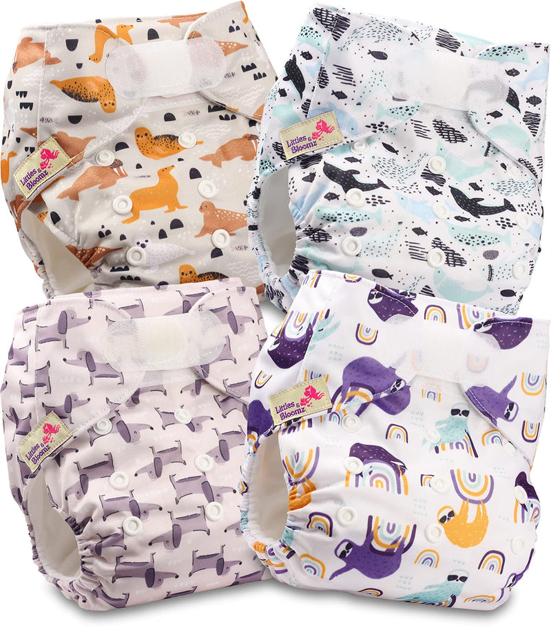 [Australia] - Littles and Bloomz Baby Reusable Pocket Nappy Cloth Diaper, Standard Hook-Loop, 4 Nappies, FLV2-0401 0401 