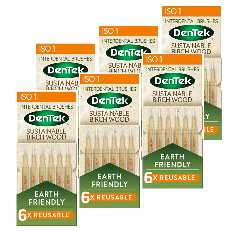[Australia] - DenTek Earth Friendly Birch Wood - 6 Count x 6 Packs (36 Brushes) Interdental Brushes ISO1/0.45mm - Green 0.45mm 6 Pack 