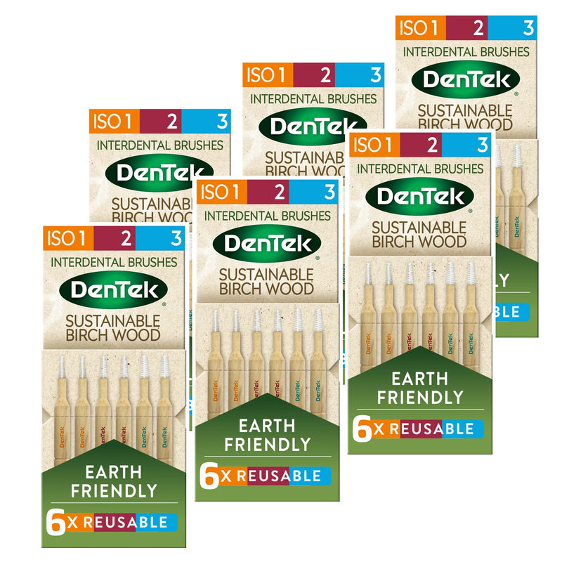 [Australia] - DenTek Earth Friendly Birch Wood - 6 Count x 6 Packs (36 Brushes) - Interdental Brushes Mixed Size Pack ISO1, 2 & 3, Green Mixed (ISO1, 2 & 3) 