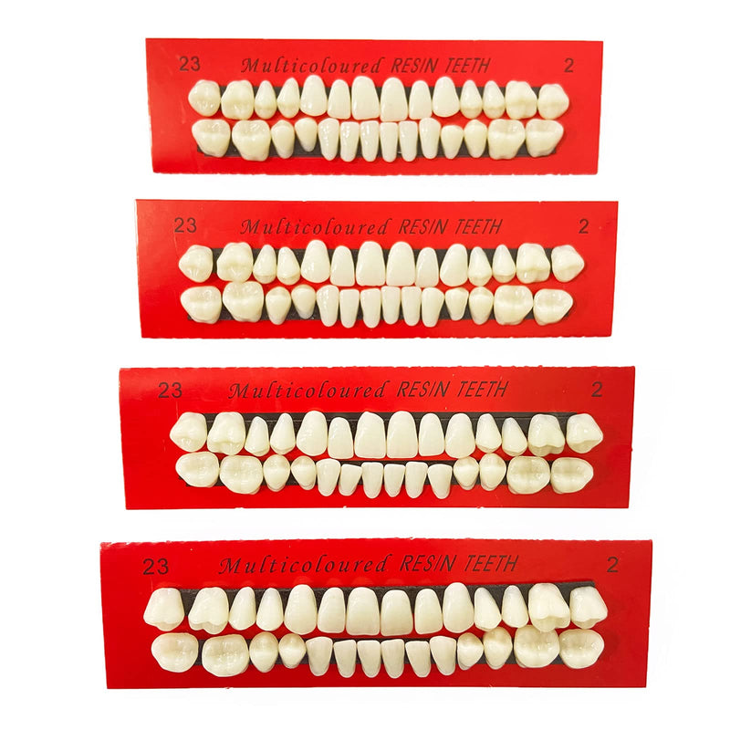 [Australia] - VIKSAUN 4 Pieces Acrylic Resin Fake Teeth Dental Denture False Teeth Halloween Horror Teeth Synthetic Resin Teeth for Halloween Makeup Cosplay Costume Party Ornament Supplies (4 pcs) 4 Pcs 